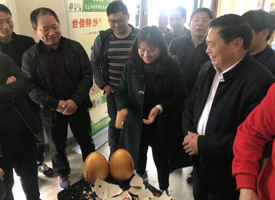 QQ图片20190319131917.jpg